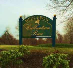 20160329 Hedgerow Entrance.png